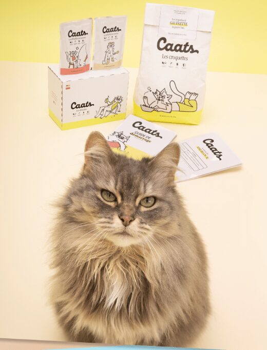 Premium Cat Food Delivered | Personalized Nutrition for Cats