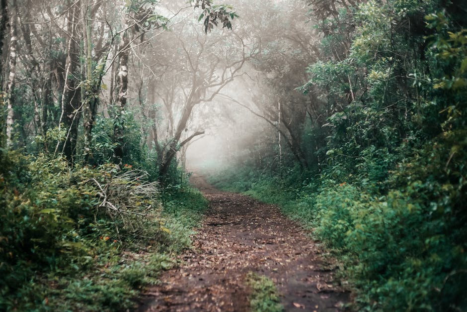 action camera adventure hiking Brazilian trail