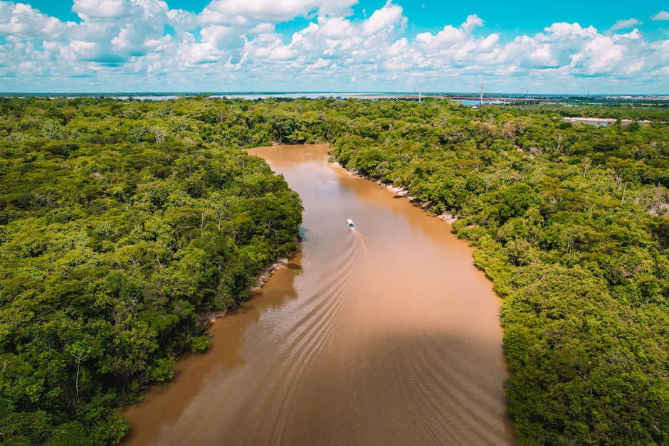 aerial view of Amazon rainforest river