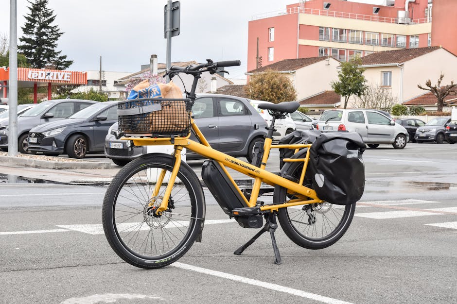 cargo e-bike family loaded with groceries