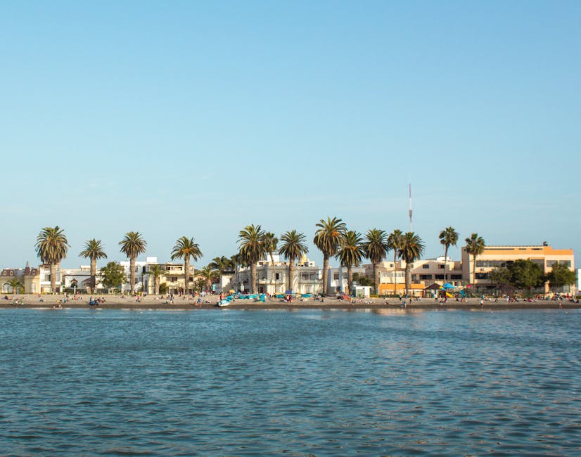coastal cityscape with palm trees and mild winter sunshine