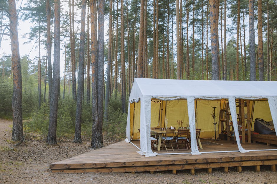 cozy glamping tent in forest meadow