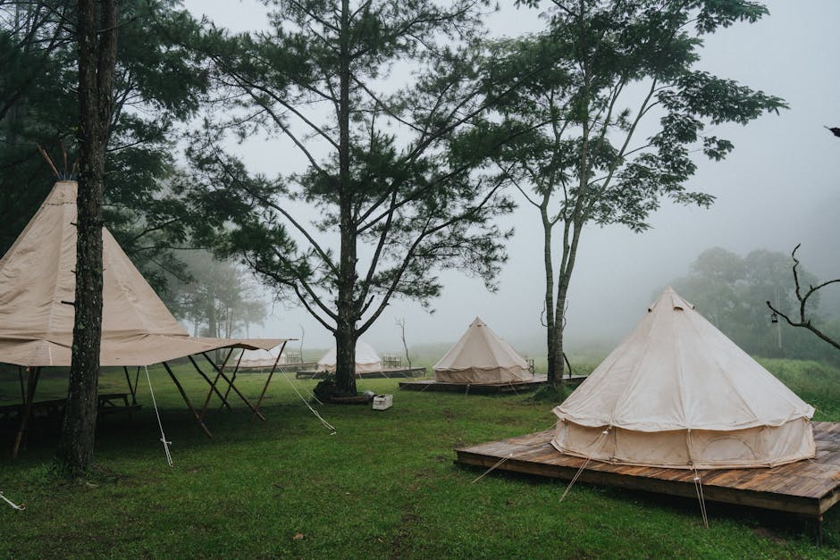 cozy glamping tent in forest with morning mist