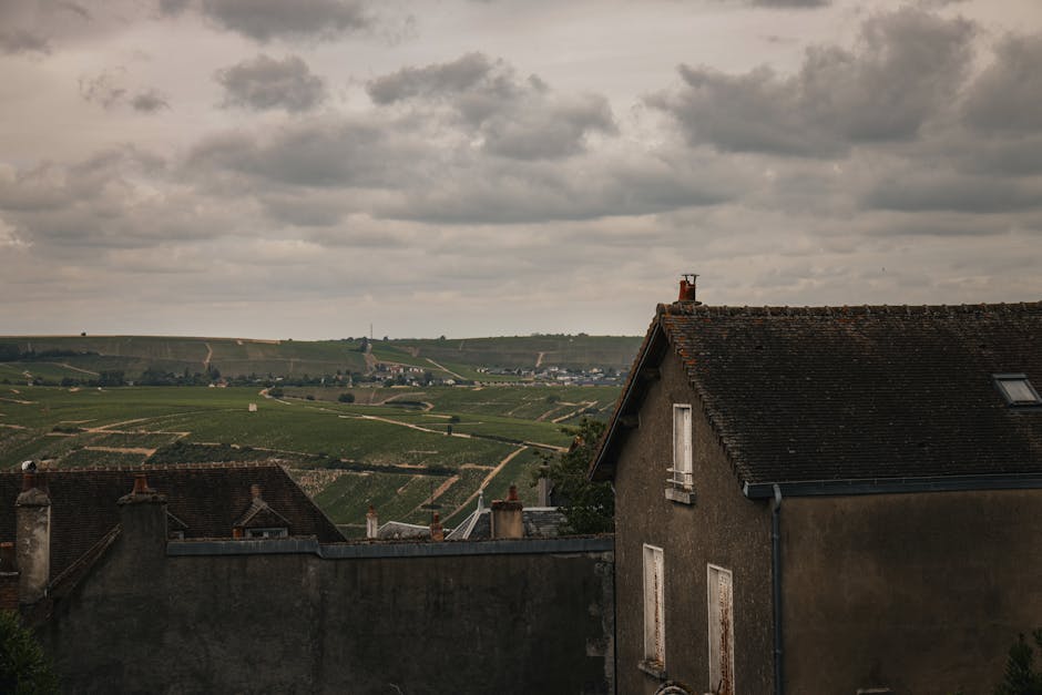 cycling through french vineyard region