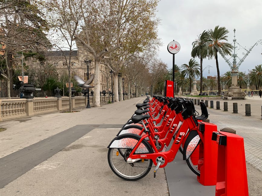 Tendencia de Bicicleta Eléctrica en España 2025: Guía Urbana