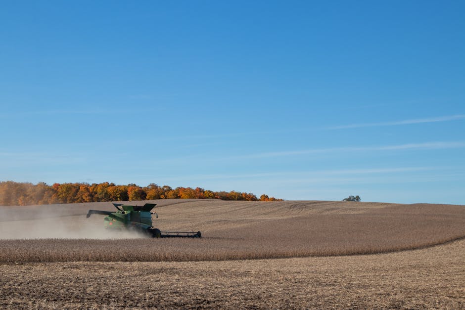 farmer using tablet in soybean field with rural landscape