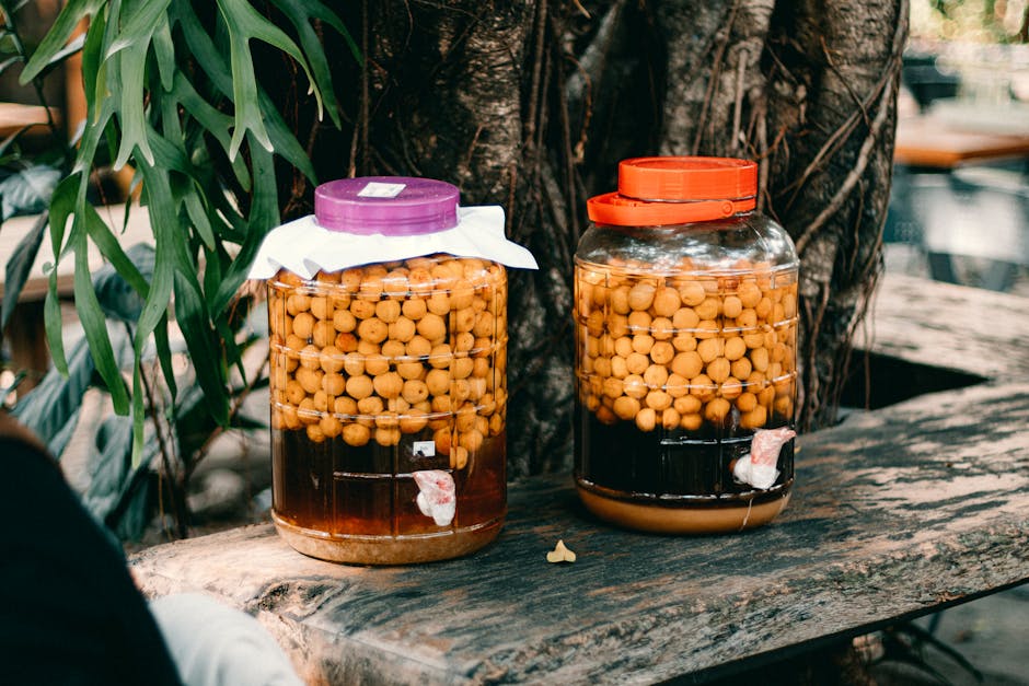 fermented drinks spanish market