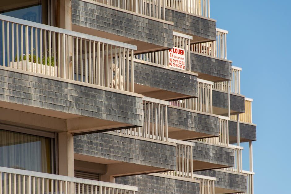 French apartment with city view listing on rental platform