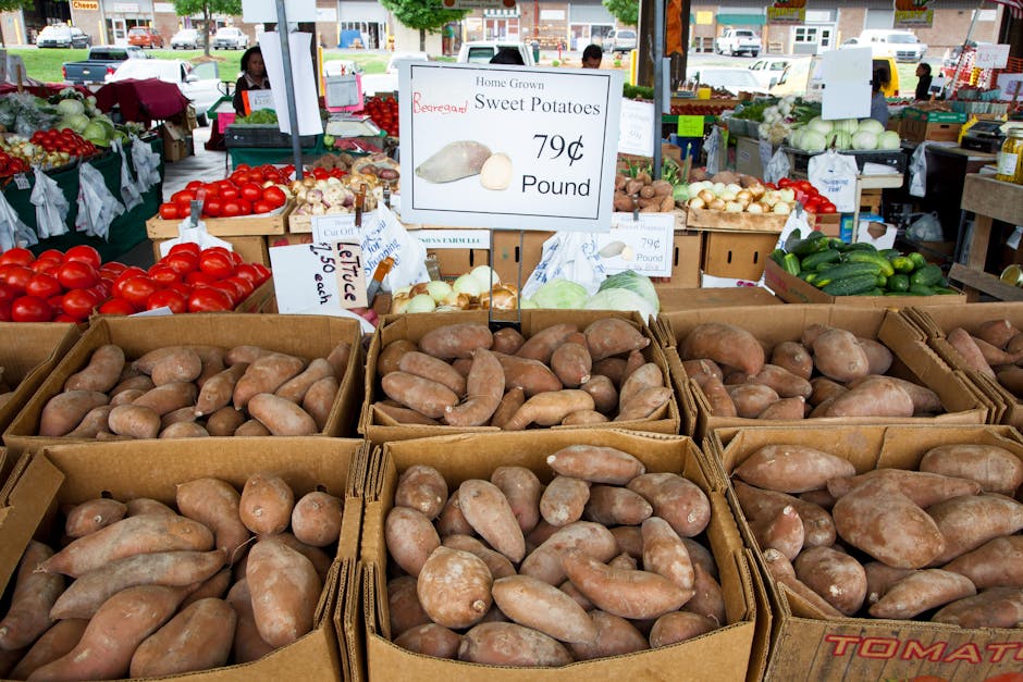 fresh seasonal vegetables display at outdoor market