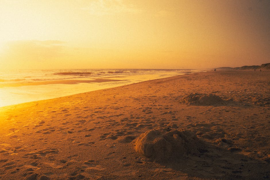 golden sunset over North Sea beach dunes