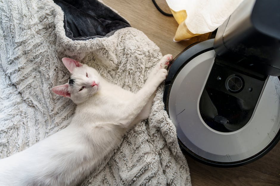 happy woman with cat near robot vacuum in living room
