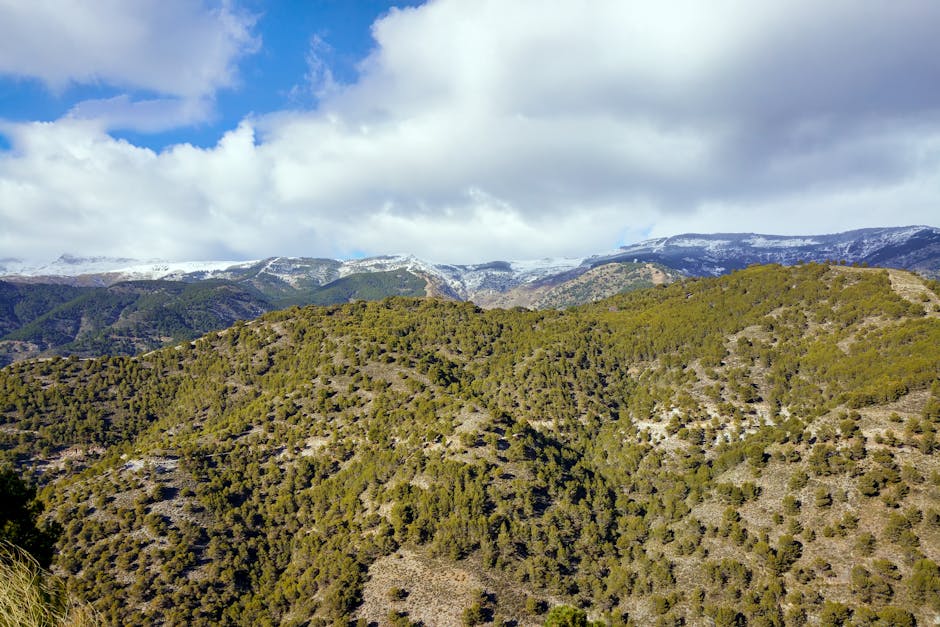 national park forest hiking Spain