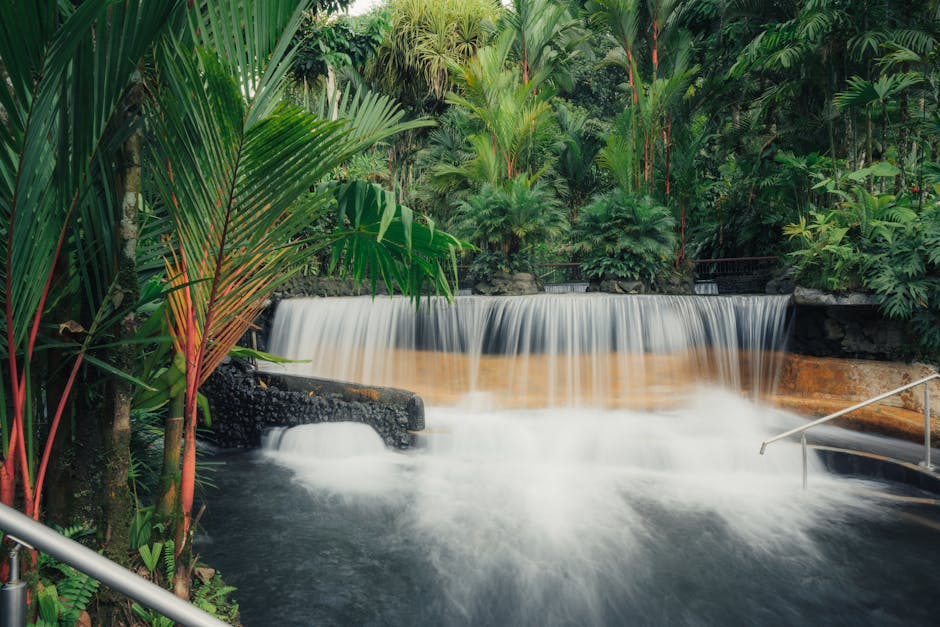 natural hot springs pool surrounded by tropical forest