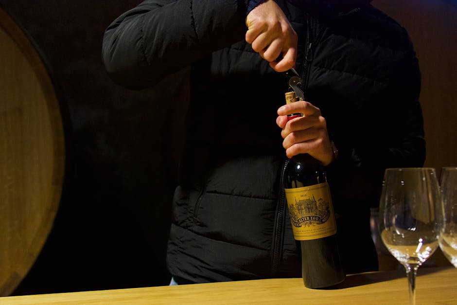 People tasting red wine in a rustic French wine cellar