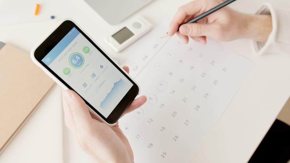 person checking solar energy app on smartphone