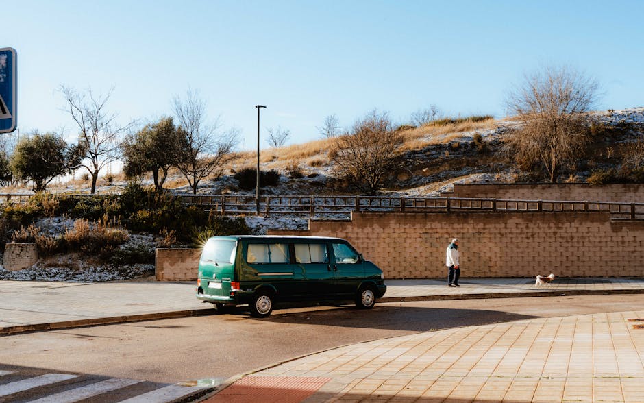 person walking dog in urban park morning Spain