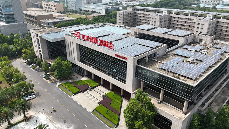 solar panels on French commercial building