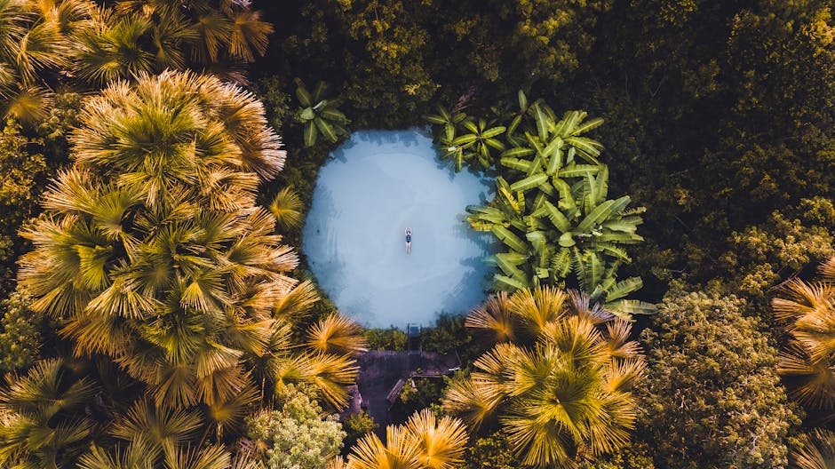 Turquoise natural pool water with lush green vegetation, Jalapão Tocantins Brazil
