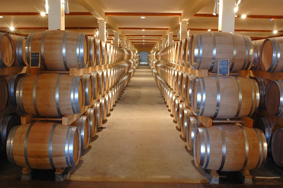 wine barrel cellar modern