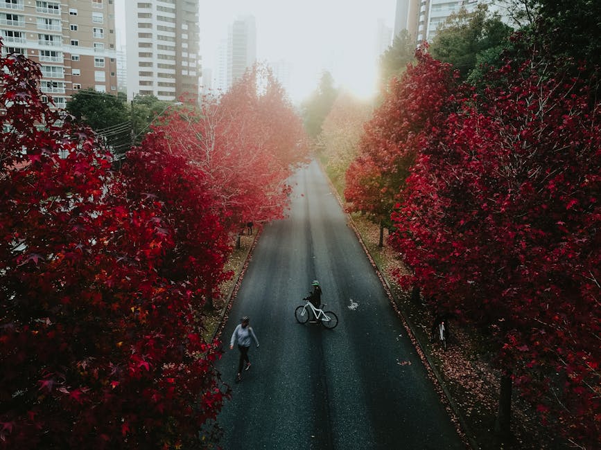 woman cycling on urban pathway Brazil