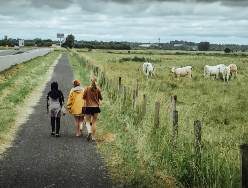 young travelers hiking rural france