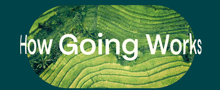 Let Going Help You Spot Better Airfare Opportunities